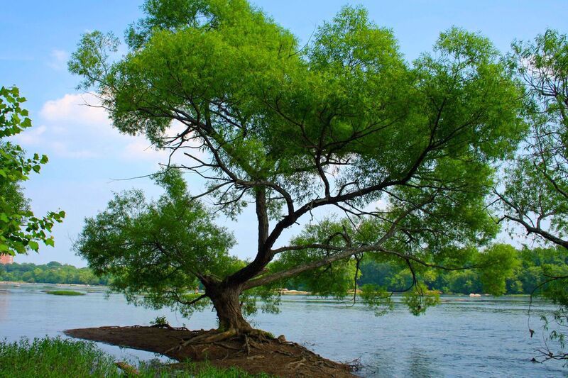Scenic Virginia: Saturday, Aug. 6, 2016